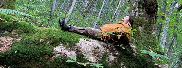 Shinrin-yoku (Forest Bathing)