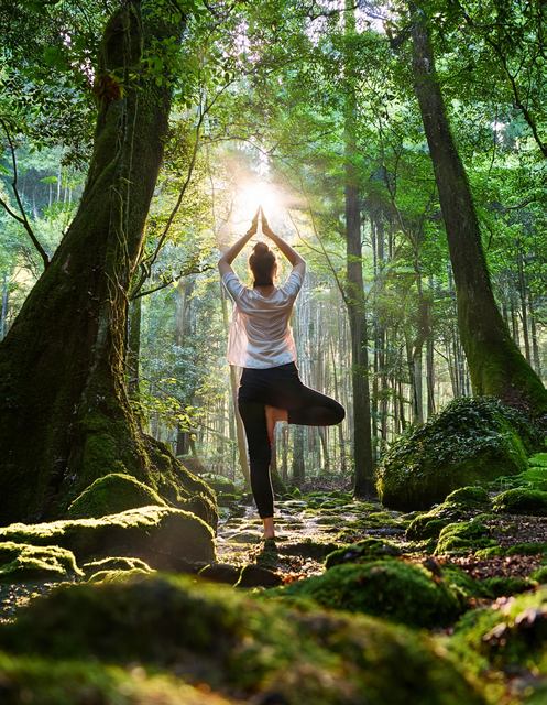 Outdoor Yoga: Improves mental well-being in a forest setting.