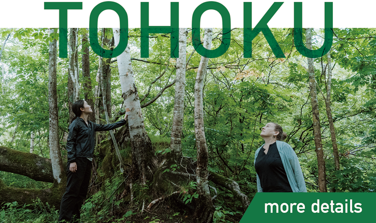 More details on Tohoku Wellness Tour