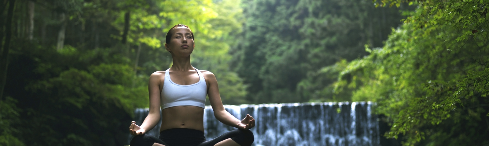 JAPAN WELLNESS RETREAT