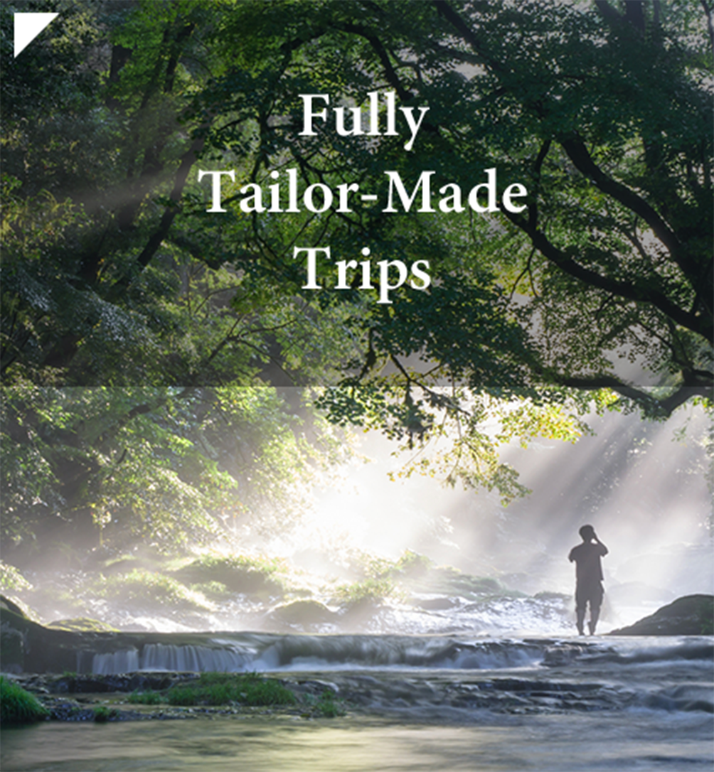 Fully Tailor-Made Trips