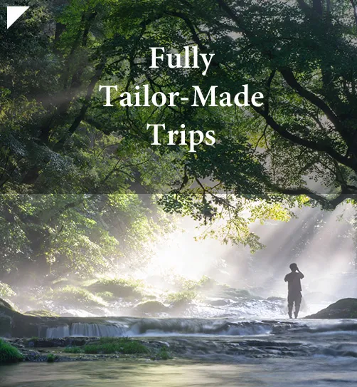 Fully Tailor-Made Trips