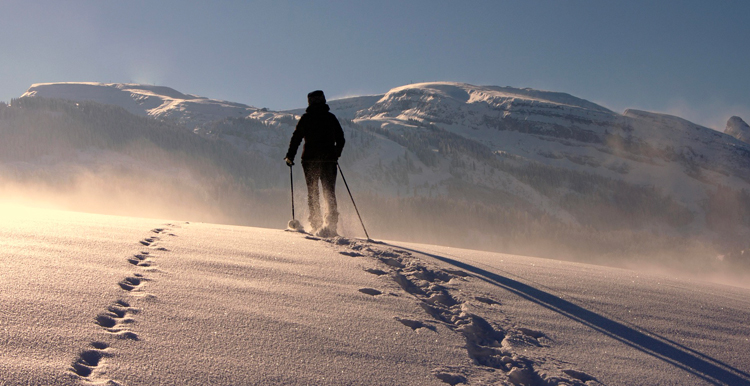 Journeys for Your Inspiration