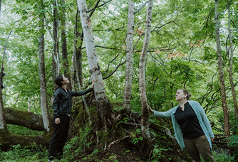 <b>Shinrin-yoku (Forest Bathing)</b><br>ExpeImmerse yourself in a healing Japanese forest.