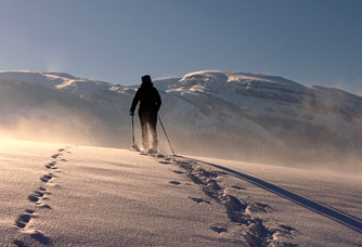 Nature Exploration<br>Discover the wonder of each season, from cherry blossoms to snow.