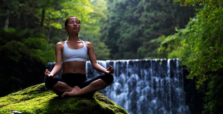 Wellness Experts