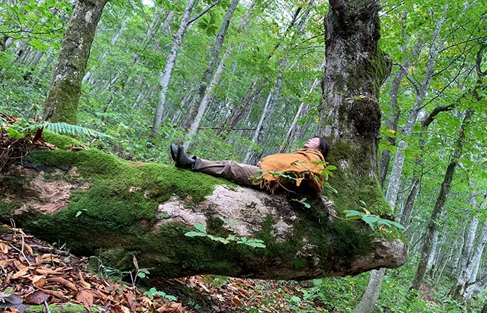 forest bathing