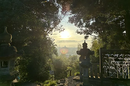 Morning Wellness in shrine