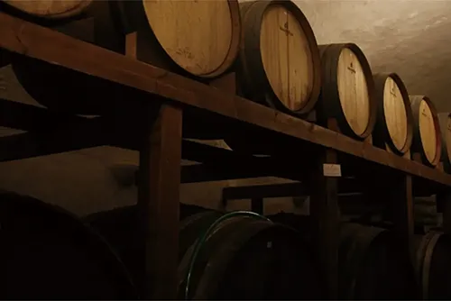 Setouchi Winery Tour