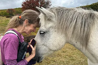 Interacting with horses at Appi Kogen