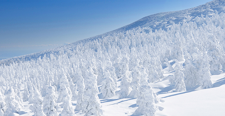Tohoku Snow Retreat: Appreciate the Stillnes
