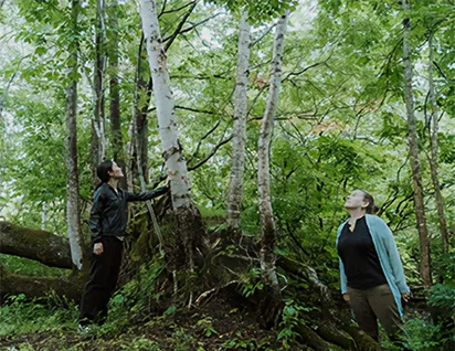 A person gazes up at the trees in a quiet forest, immersed in the calming atmosphere of nature.