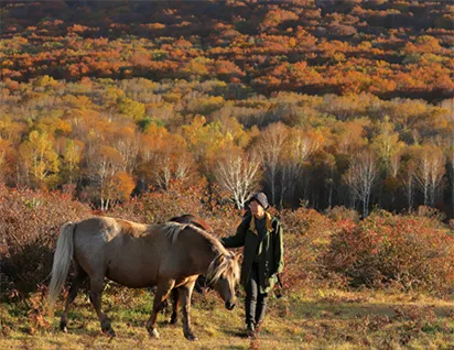 A person walks alongside a horse through a forest of autumn leaves, surrounded by warm seasonal colors.