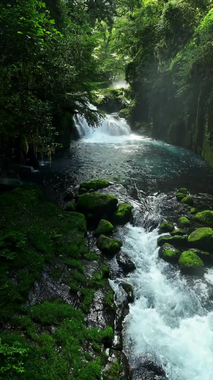 Mountain Stream
