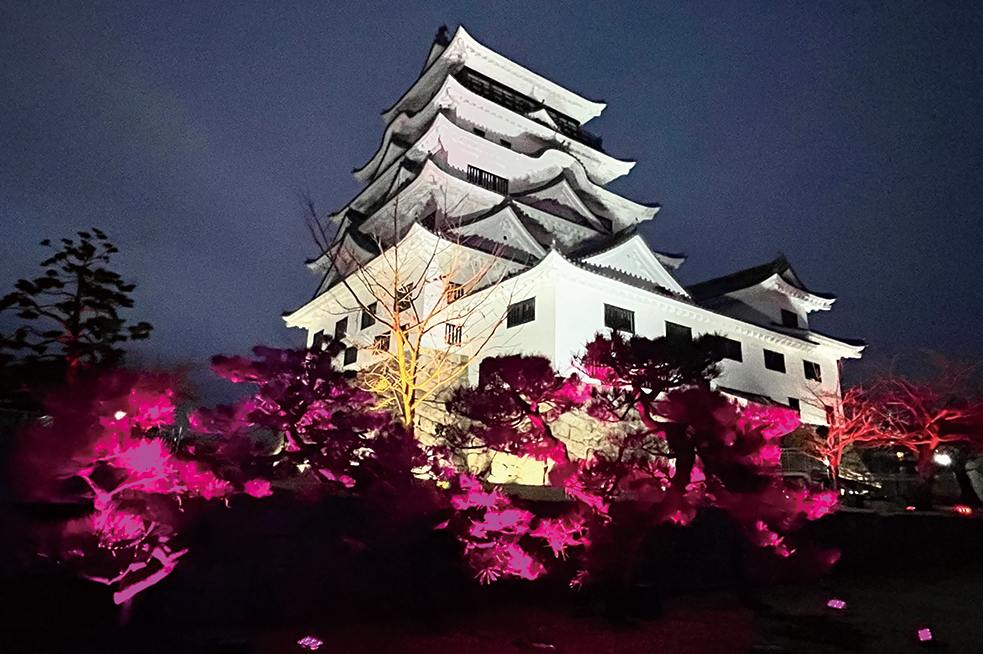 Fukuyama Castle illuminated with night cherry blossoms