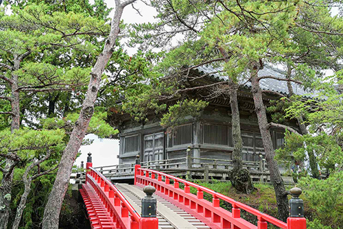 Matsushima Sightseeing