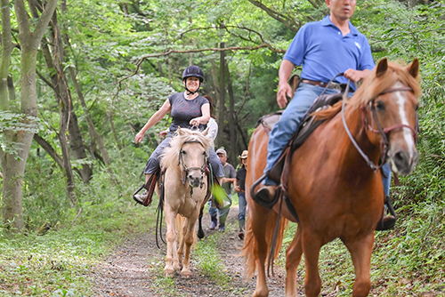 Satoyama (Mountain Villages) Horse Riding