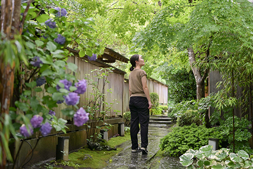 Japanese Garden at Entsuin Temple